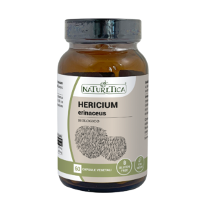 Hericium erinaceus fungo medicinale per stomaco.